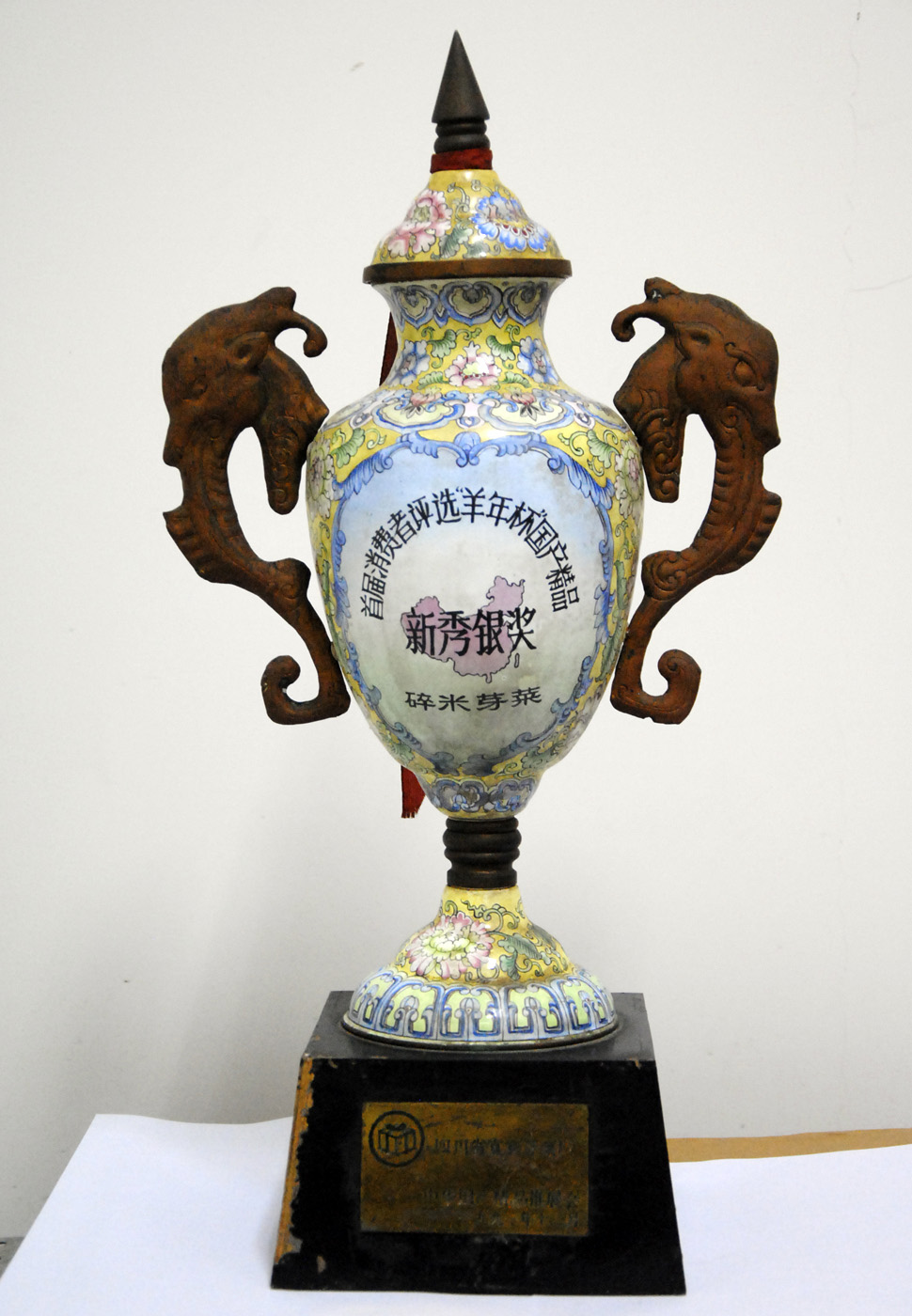 首屆消費者評選“羊年杯”國產(chǎn)精品新秀銀獎