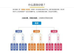 北京軟件開發 雙軌三三制直銷系統定制全解析